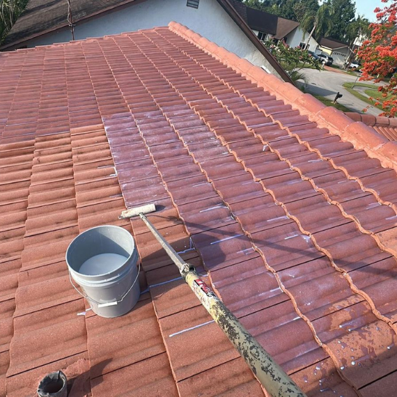 Roof Sealing